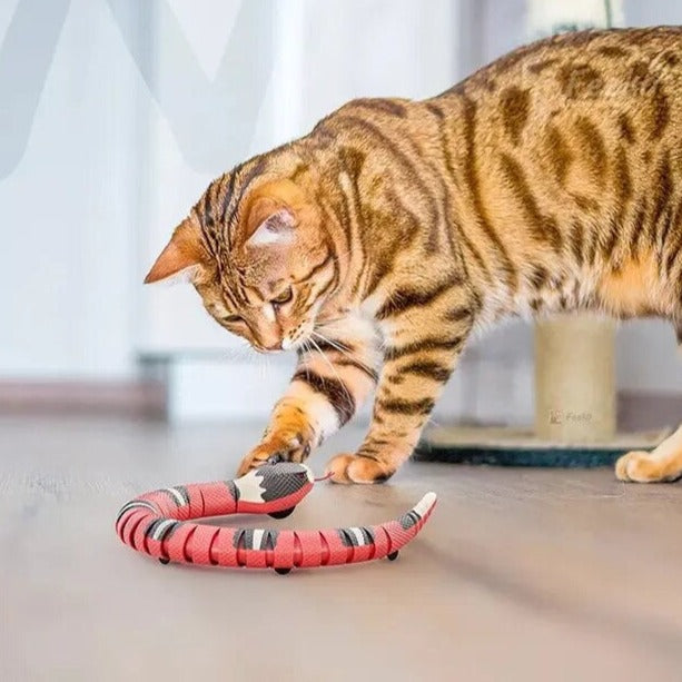 SILQ Snake – Smart Spielzeug für Katzen