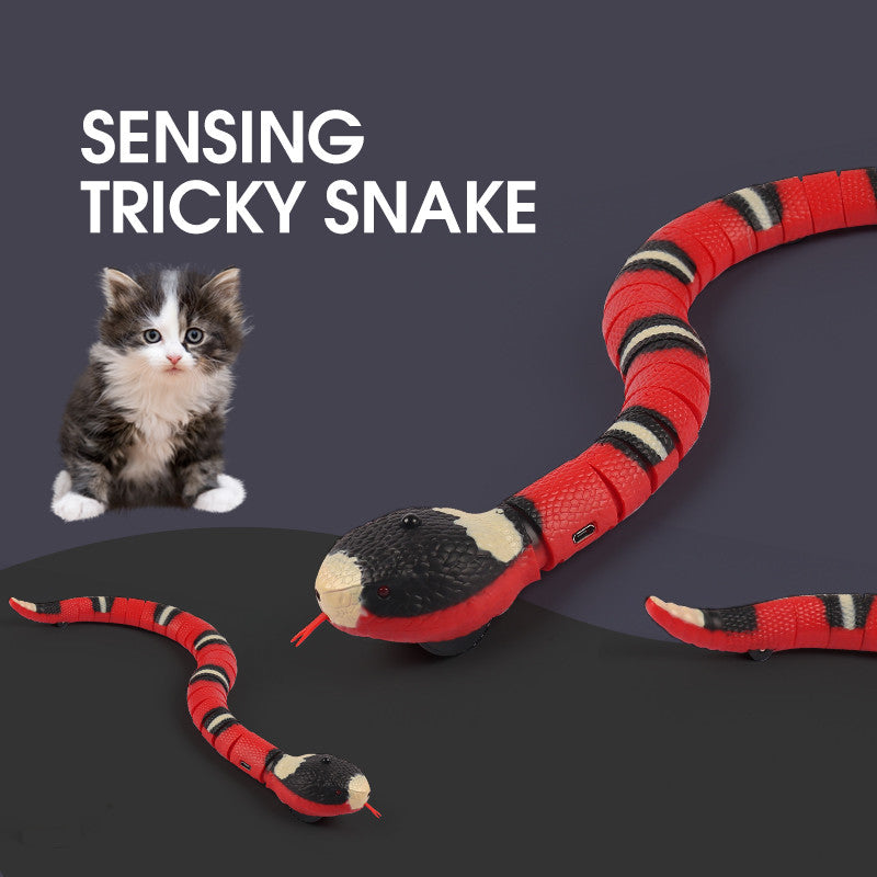 SILQ Snake – Smart Spielzeug für Katzen